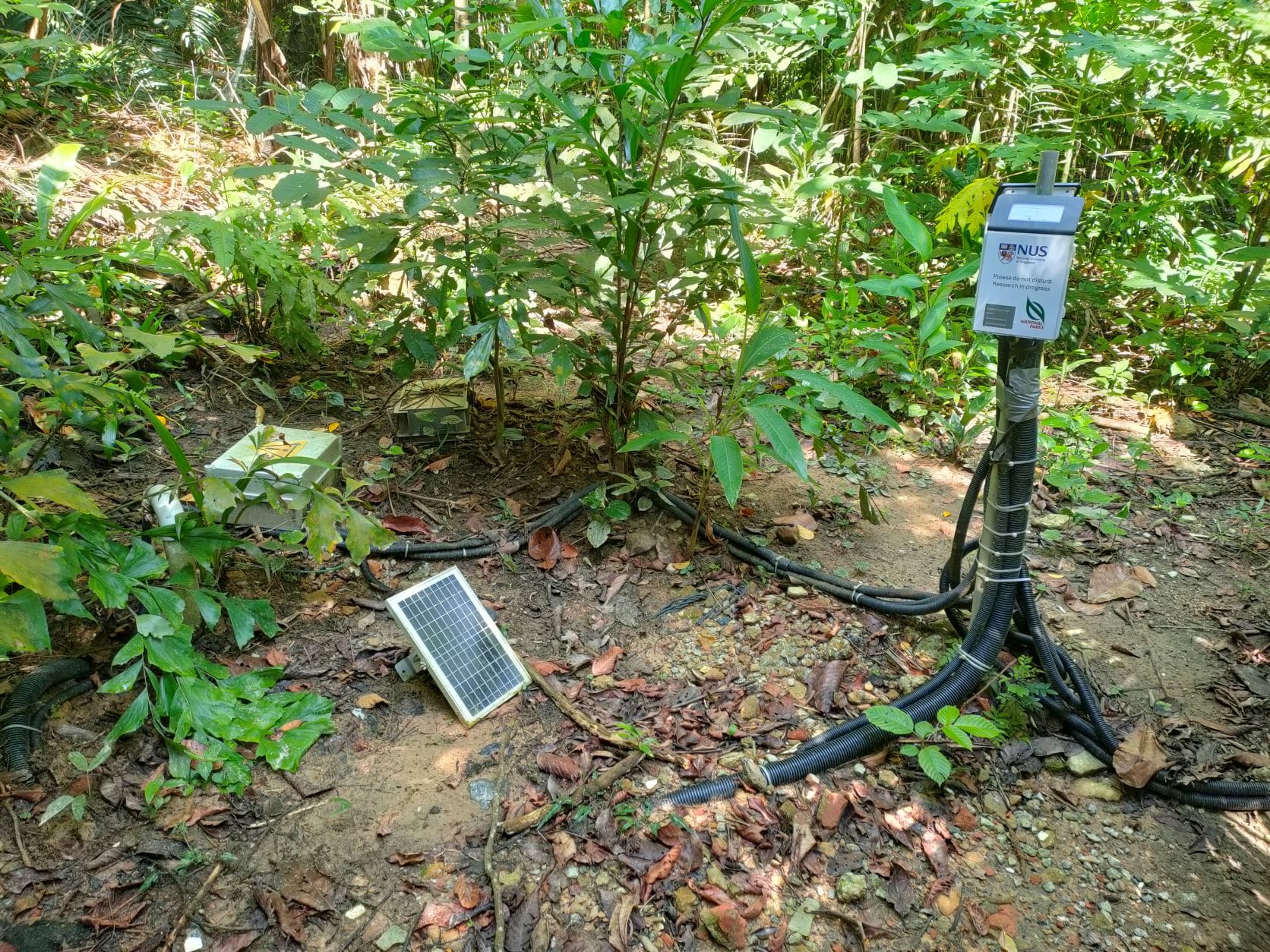 This research monitors above-ground weather conditions—such as rainfall, air temperature, wind, and relative humidity—alongside below-ground soil metrics like moisture, temperature, and water seepage collected via a lysimeter. By combining this data, the study provides valuable insights into how weather patterns drive nutrient leaching.